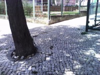 /album/cacem/img-20150501-133734-1-1-jpg/